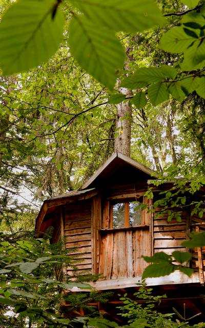 Unusual nights in the Vosges - Adventure farm - Tree house Vosges