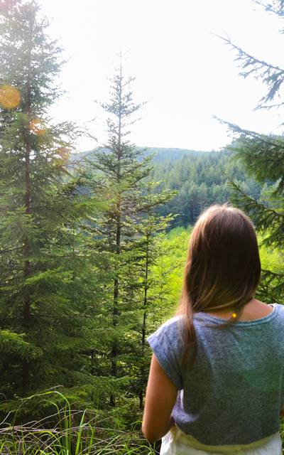 Hiking in the Vosges - Middle mountain guide - Hiking in Epinal - Path in Epinal