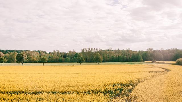 Cycling - Cycling tourism - Vosges by bike - Haute Saone by bike 