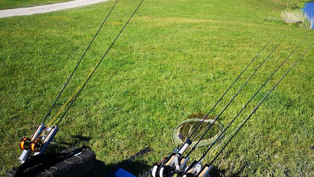 Fishing Vosges - fishing ponds - Socourt - fishing competition Vosges - Carp fishing