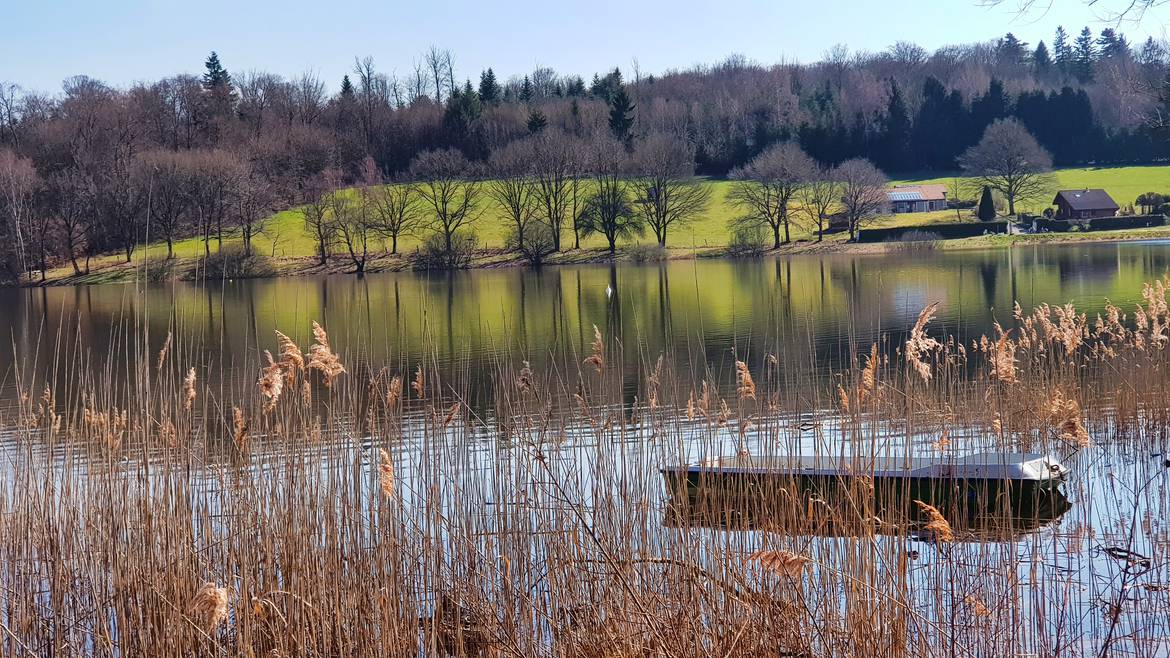 Der See von Bouzey