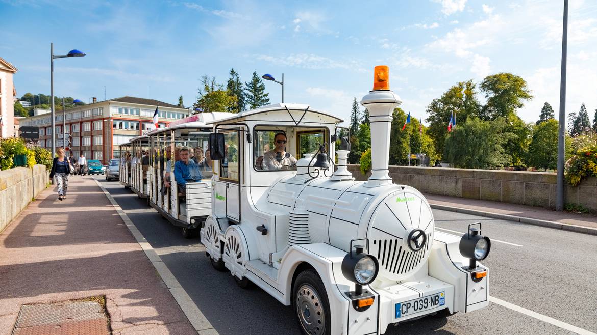 Step 4 : 2.30 p.m. – The Mini Tourist Train