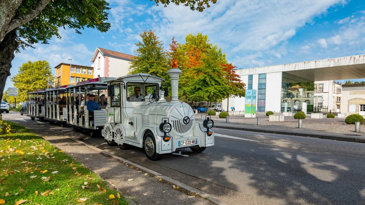 Tour in a Tourist Little Train (1:00)