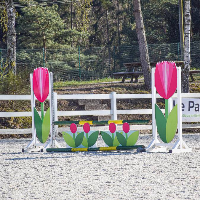 Riding centre Epinal - Riding lessons Epinal - Horse riding - Horse riding - Horse riding