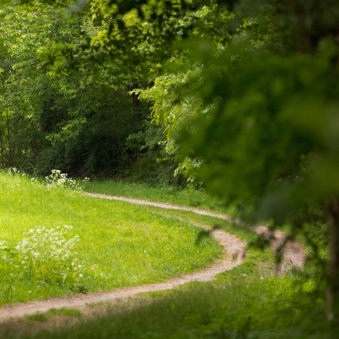 Horseback riding - Horseback riding Vosges - Horseback riding - Landscape