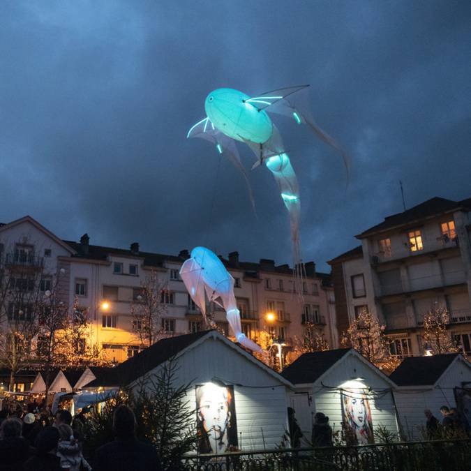 Christmas lights - Epinal Christmas market - Saint-Nicolas village - Epinal Christmas show 