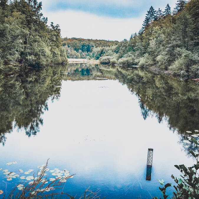 distance tour du lac de bouzey